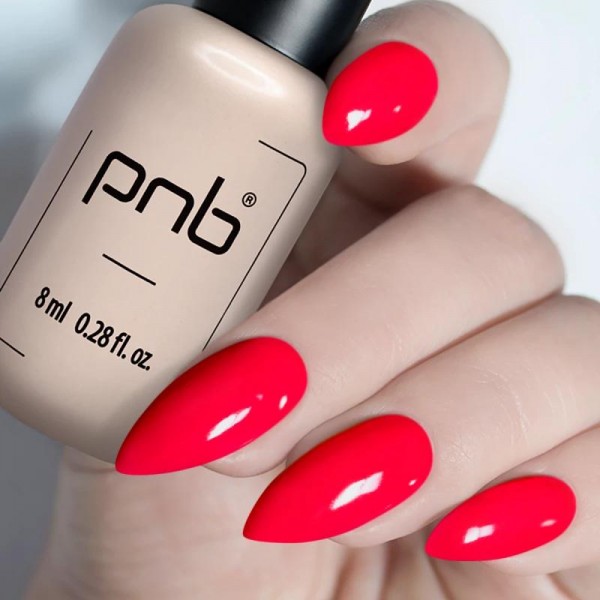 Гел лак PNB 8 мл 166